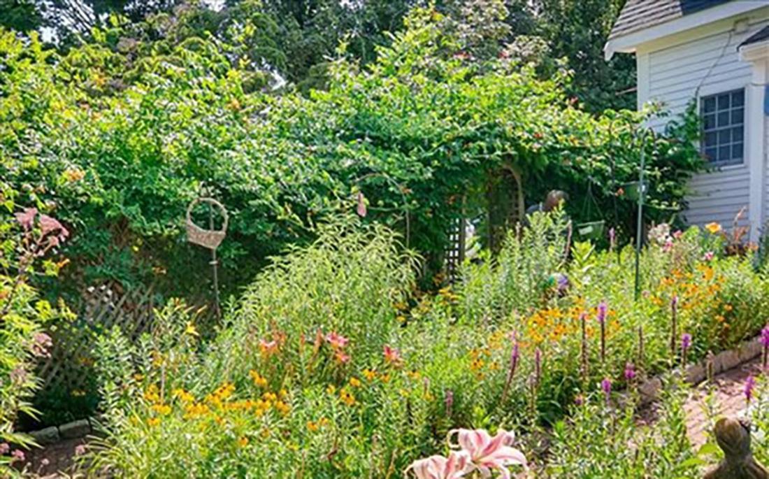 West Tisbury Inn المظهر الخارجي الصورة